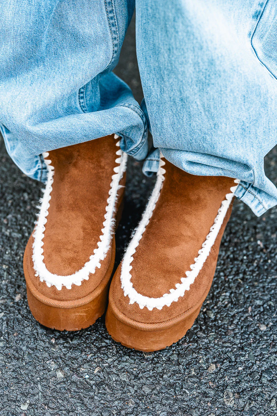Bootes Hyde camel
